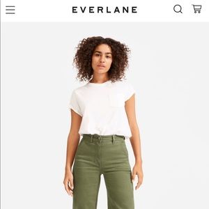 Everlane Wide Leg Crop Pants in Surplus